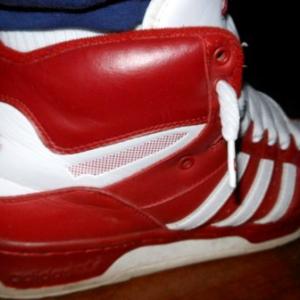 Picture of adidasgutten Picture of adidasgutten