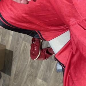 Picture of Dazzleshortsbro