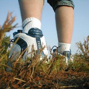 Picture of sneakerfreaker